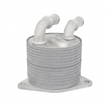 Radiateur d'Huile Moteur Pour Peugeot Opel Citroën C4 C5 Jumpy DS 9824606980