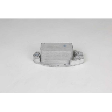 Radiateur d'Huile Moteur Pour Peugeot Citroën Jaguar Land Rover 9X2Q6B624BA