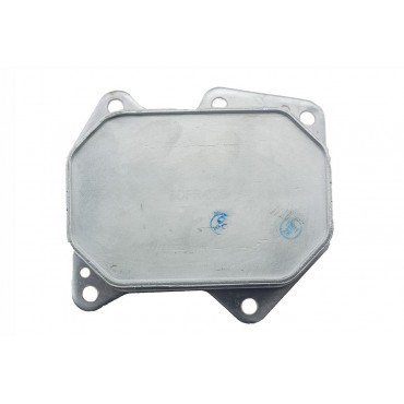 Radiateur d'Huile Moteur Pour Peugeot Fiat Ford Citroën BK2Q6B624BB BK2Q6B624CD
