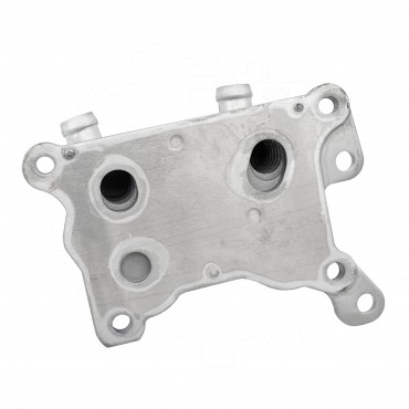 Radiateur d'Huile Moteur Pour Renault Dacia Mercedes-Benz Nissan 213055917R