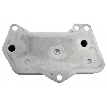 Radiateur d'Huile Boite Auto Pour VW Beetle Audi A3 Q3 TT Seat Skoda 02E409061B
