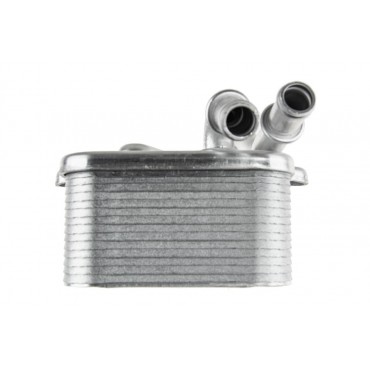 Radiateur d'Huile Boite Auto Pour Audi A6 A8 09E409061 09E409061A 9E409061A
