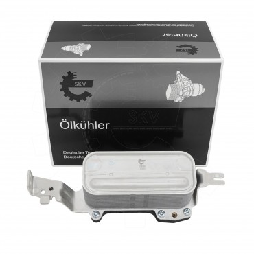 Radiateur d'Huile Boite Auto Pour BMW Série 5 F07 F10 F11 6 F06 F12 17217601951