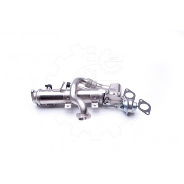 Radiateur de Vanne EGR Pour Audi A4 A5 A6 Q5 Seat Exeo