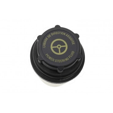 Vase d'Huile de Direction Assistée Pour Land Rover Freelander 2 6G913R700AB