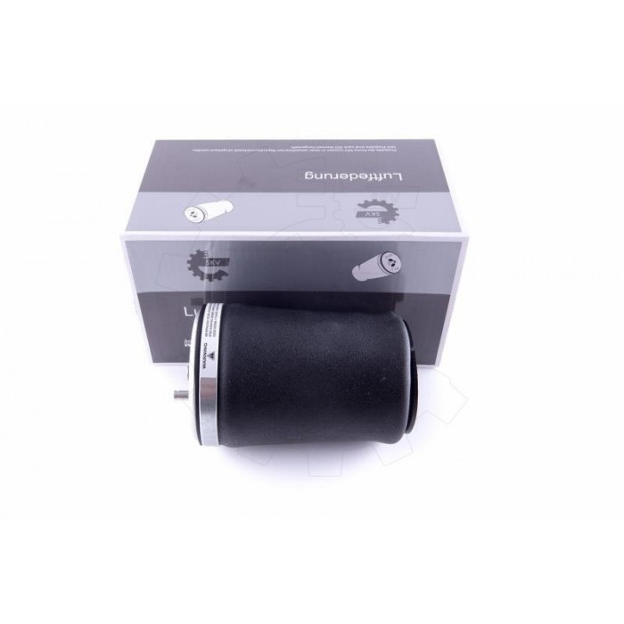 Amortisseur Pneumatique Arrière Gauche Pour BMW Série 5 E39 37121094613