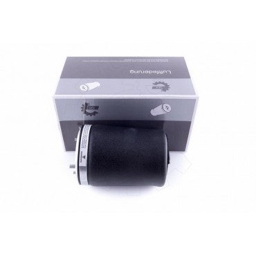 Amortisseur Pneumatique Arrière Droit Pour BMW Série 5 E39 37121094614