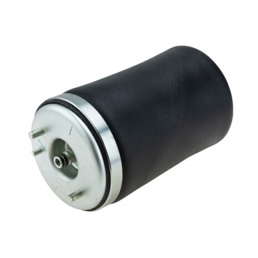 Amortisseur Pneumatique Arrière Gauche Pour BMW X5 E53 37121095579 37126750355