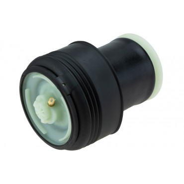 Amortisseur Pneumatique Arrière Pour BMW X5 E70 F15, F85 37126790078