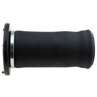 Amortisseur Pneumatique Arrière Pour Land Rover Discovery II RKB101200