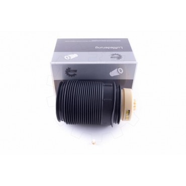 Amortisseur Pneumatique Arrière Droit Pour Mercedes-Benz Classe E A2123203825