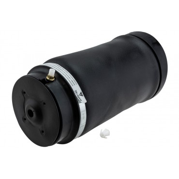 Amortisseur Pneumatique Arrière Pour Mercedes-Benz Classe R A2513200325