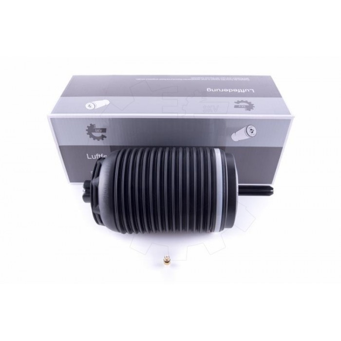 Amortisseur Pneumatique Arrière Gauche Pour Porsche Macan 95B616001B 95B616001F