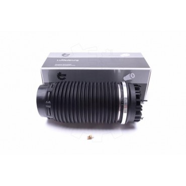 Amortisseur Pneumatique Arrière Pour RAM 1500 Crew Cab Pick-up 68248948AA