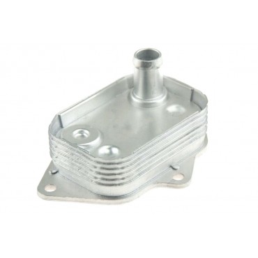 Refroidisseur Radiateur D'huile Moteur Pour Mercedes Classe A Vaneo A6681800065