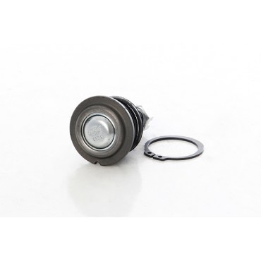 Rotule de Suspension Arrière Pour Honda Accord IV V Rover 600