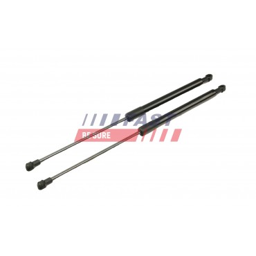 Vérin Hayon de Coffre Pour Volvo V50 30674718