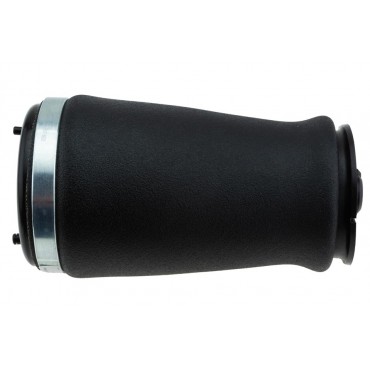 Ressort Pneumatique Arrière Droit Pour BMW Série 5 E39 37121094614