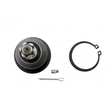 Rotule de Suspension Arrière Pour Honda Accord 3/5 Portes VIII 52520TL0E01