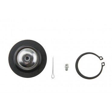 Rotule de Suspension Arrière Pour Honda Accord 3/5 Portes VIII 52520TL0E01