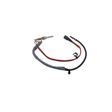 Capteur Sonde Régénération...