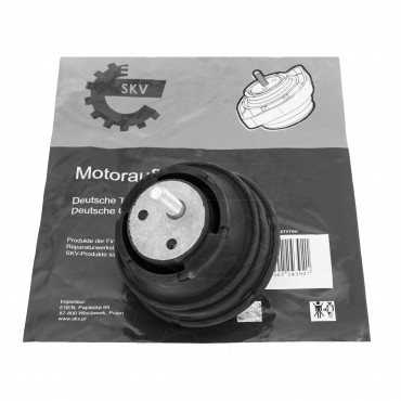 Support Moteur Pour BMW Série 5 E39 22114438631 22114438907 22114516677