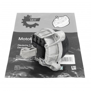 Support Moteur Gauche Pour BMW Série 5 F07 F10 F11 6 F12 F13 22116777365