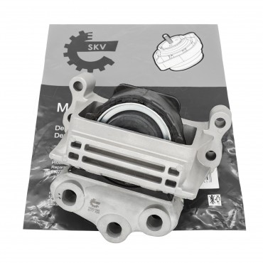 Support Moteur Droit Pour Ford Transit 1377905 1384138 6C116F012AA 6C116F012AB