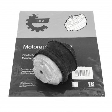 Support Moteur Avant Pour Mercedes-Benz Classe C CLC T-Model E CLK SL 2022401617