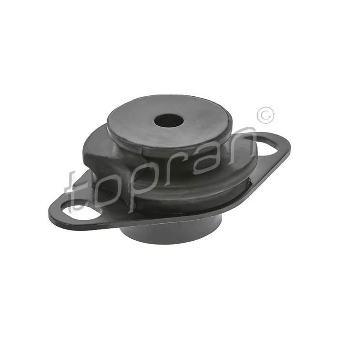 Support Moteur Gauche Pour Renault Clio II Kangoo Megane I R19 Scénic Thalia