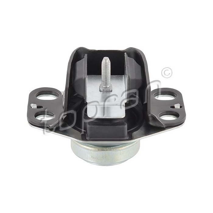 Support Moteur Droit Pour Renault Clio II Kangoo Thalia I 7700415089 7700434370