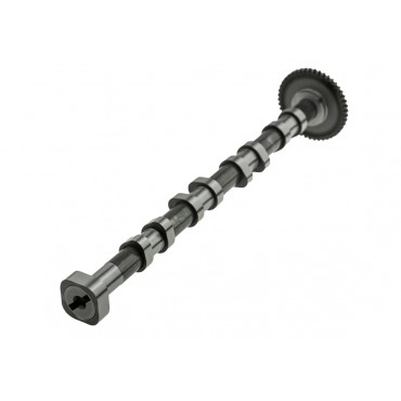 Arbre à Cames pour A3 A4 Q3...