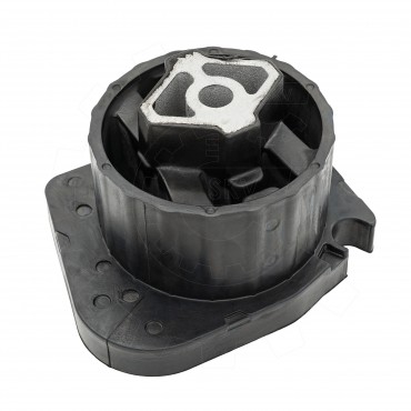 Support de Boite de Vitesses Pour BMW X5 E53 22316764212 22316771743