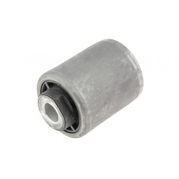 Silent Bloc de Bras de Suspension Pour Chrysler Pacifica Voyager IV 04743477AI