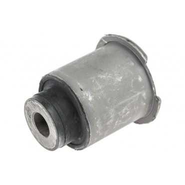 Silent Bloc de Bras de Suspension Pour Land Rover Discovery III Van IV RBX500311