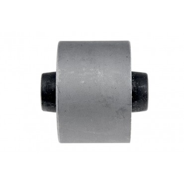 Silent Bloc de Bras de Suspension Pour Nissan Teana III Nissan (Dfac) Murano II