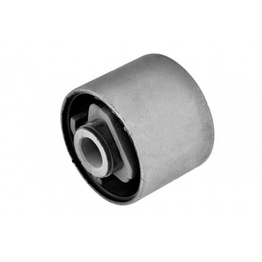 Silent Bloc de Bras de Suspension Pour Nissan Maxima/Maxima QX IV 5513095F0A