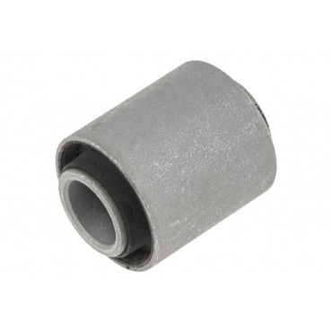 Silent Bloc de Bras de Suspension Pour Nissan Expert 545000M065 545002F500