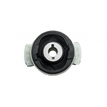 Silent Bloc de Bras de Suspension Pour Renault Laguna II 7700415488 8200051813