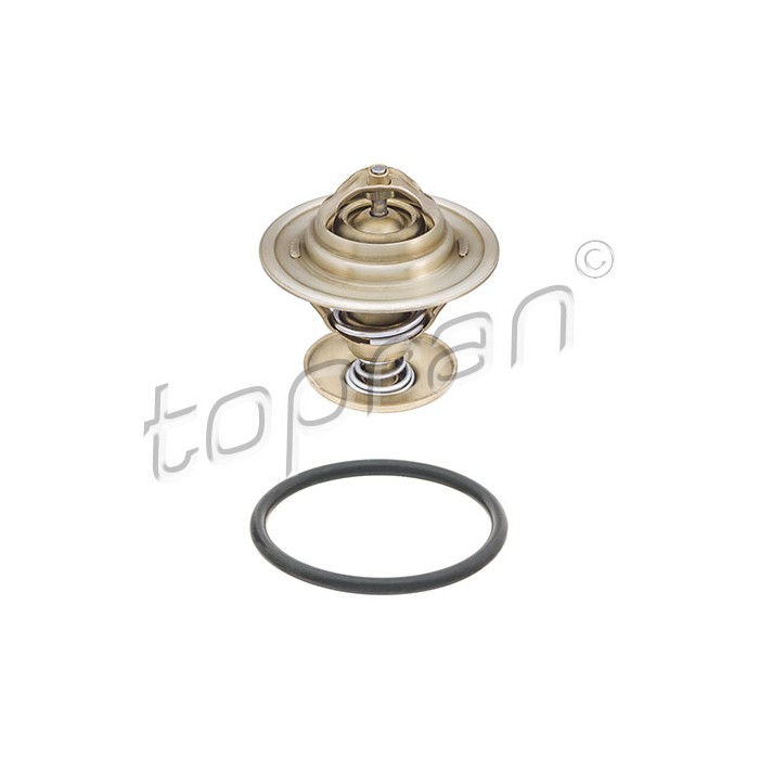 Thermostat d'Eau Pour VW Golf I II III Jetta Audi 80 100 A6 Seat 056121113D71