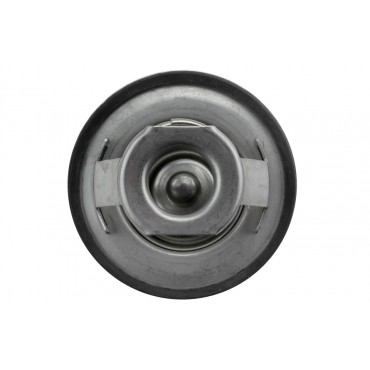 Thermostat d'Eau Pour Renault Scenic R19 Rapid Thalia Trafic VEL Satis Dacia