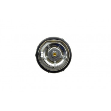 Thermostat d'Eau Pour Mercedes-Benz Daewoo Puch Ssangyong A6062030275 6012000015