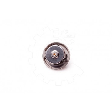 Thermostat d'Eau Pour Peugeot Renault Mercedes-Benz Daewoo 0022037275 0022037675