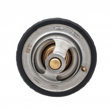 Thermostat d'Eau Pour VW Nissan Toyota Avensis Daihatsu J9091603046 212004M500