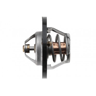 Thermostat d'Eau Pour Fiat Suzuki Baleno Hyundai Subaru 2550024000