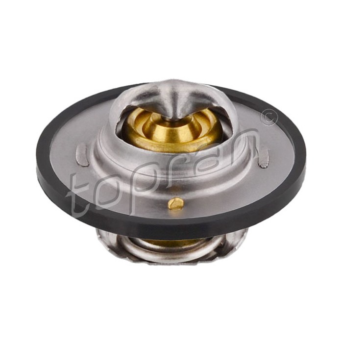 Thermostat d'Eau Pour Ford Escort IV Fiesta II III Orion 1452357 1459319 1472824