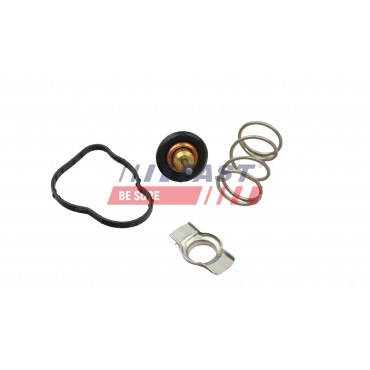 Thermostat d'Eau Pour Renault Kangoo 110602770R 110608431R 110609813R