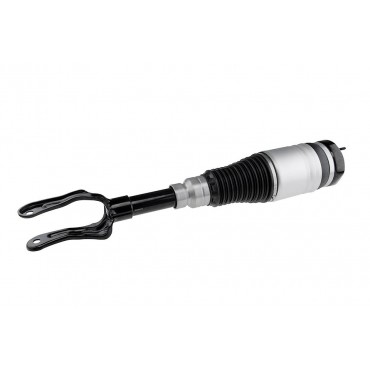 Amortisseur Suspension...