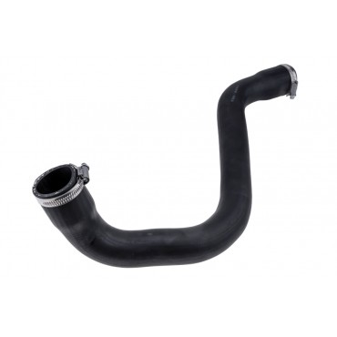 Durite d'Admission d'Air Pour Renault Megane II Scénic 8200658187