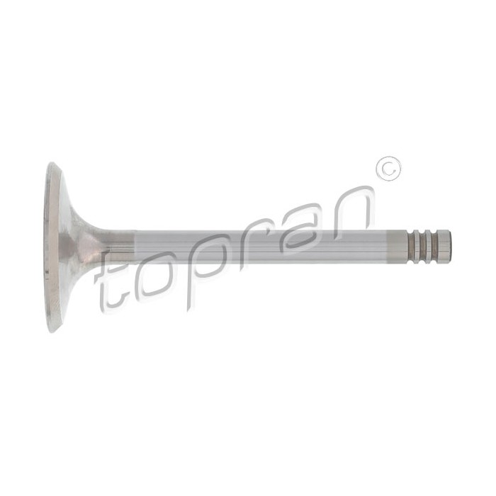 Soupape d'Admission Pour VW Audi 80 100 A6 Seat 026109601C 026109601F 048109601A